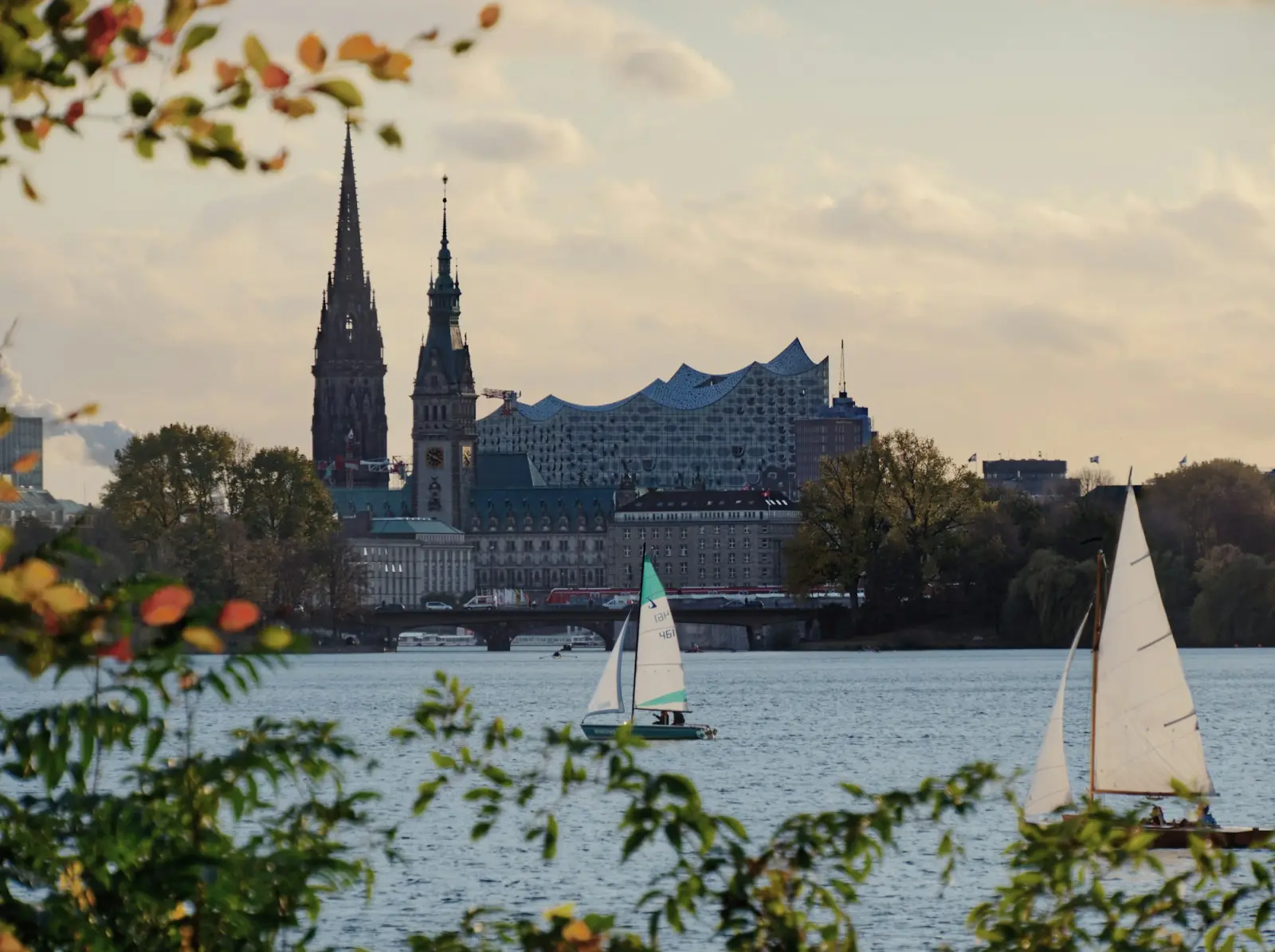 Hamburg im Herbst: Segelboote auf der Alster, dahinter Rathaus und Elbphilharmonie